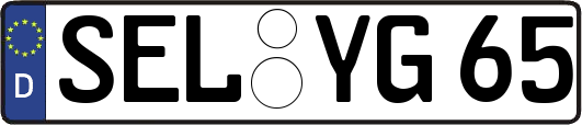 SEL-YG65