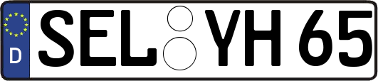 SEL-YH65
