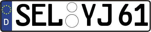 SEL-YJ61