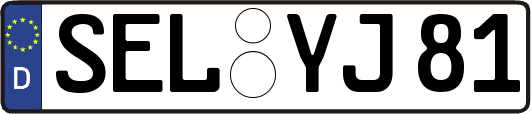 SEL-YJ81