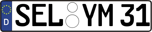 SEL-YM31