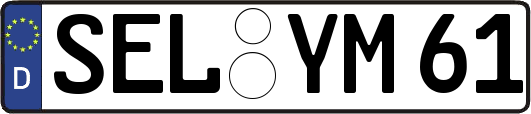 SEL-YM61