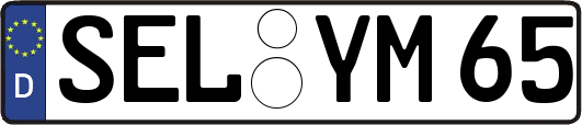 SEL-YM65