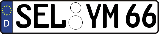 SEL-YM66