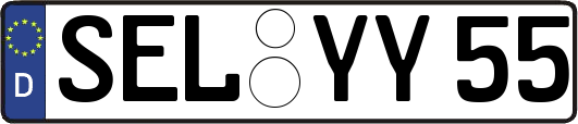 SEL-YY55