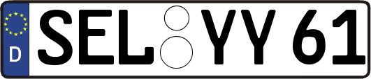SEL-YY61