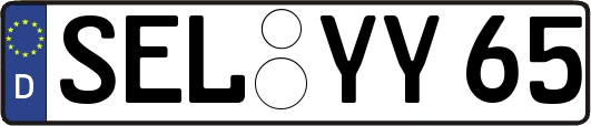 SEL-YY65