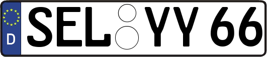 SEL-YY66