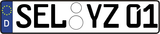 SEL-YZ01