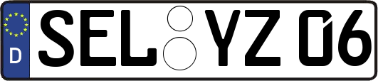 SEL-YZ06