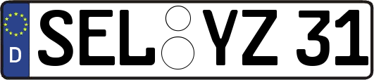 SEL-YZ31
