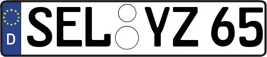 SEL-YZ65