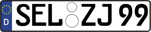 SEL-ZJ99