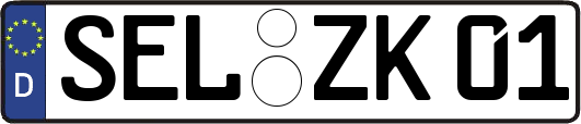 SEL-ZK01
