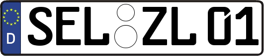 SEL-ZL01
