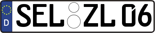 SEL-ZL06