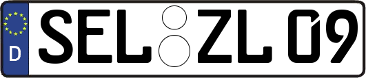 SEL-ZL09
