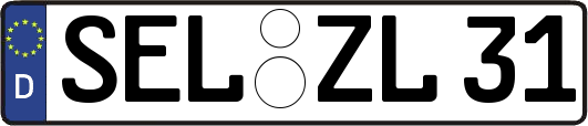 SEL-ZL31