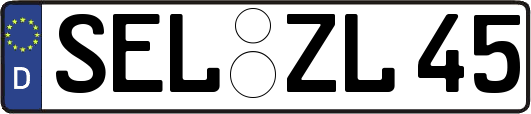 SEL-ZL45