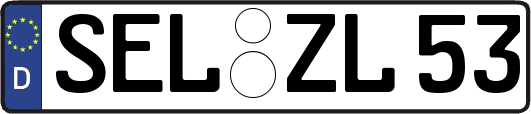 SEL-ZL53