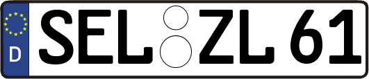 SEL-ZL61