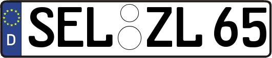 SEL-ZL65