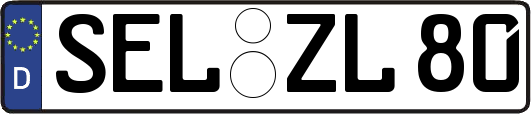 SEL-ZL80