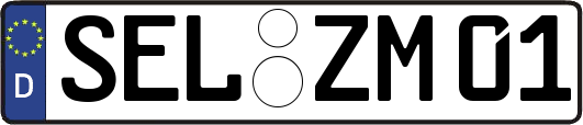 SEL-ZM01