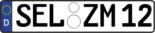 SEL-ZM12