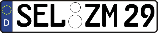 SEL-ZM29