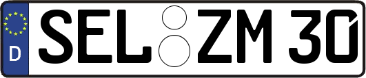 SEL-ZM30