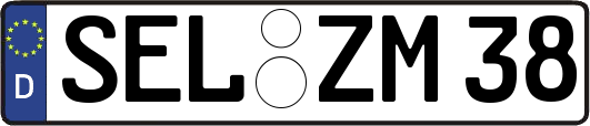 SEL-ZM38