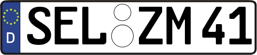 SEL-ZM41