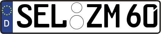 SEL-ZM60