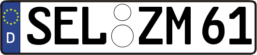 SEL-ZM61