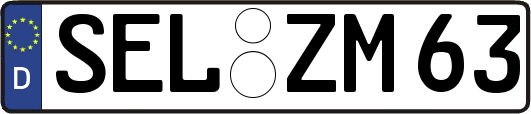 SEL-ZM63