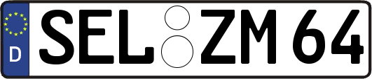 SEL-ZM64