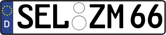 SEL-ZM66