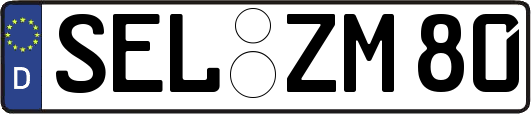 SEL-ZM80