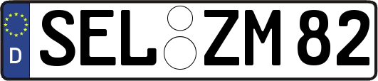 SEL-ZM82