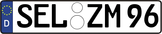 SEL-ZM96