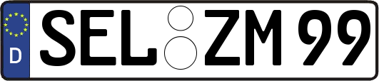 SEL-ZM99