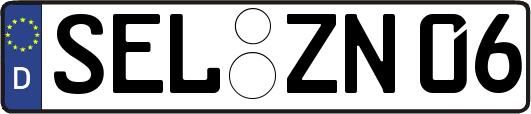 SEL-ZN06