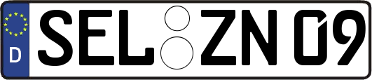 SEL-ZN09
