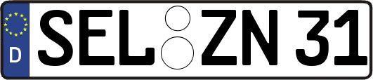 SEL-ZN31