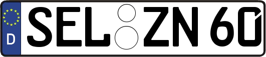 SEL-ZN60