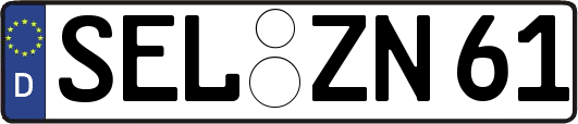 SEL-ZN61