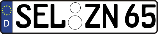 SEL-ZN65