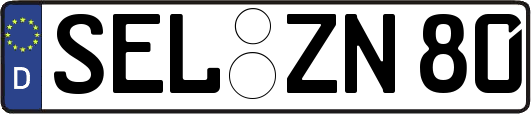 SEL-ZN80