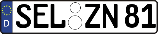 SEL-ZN81